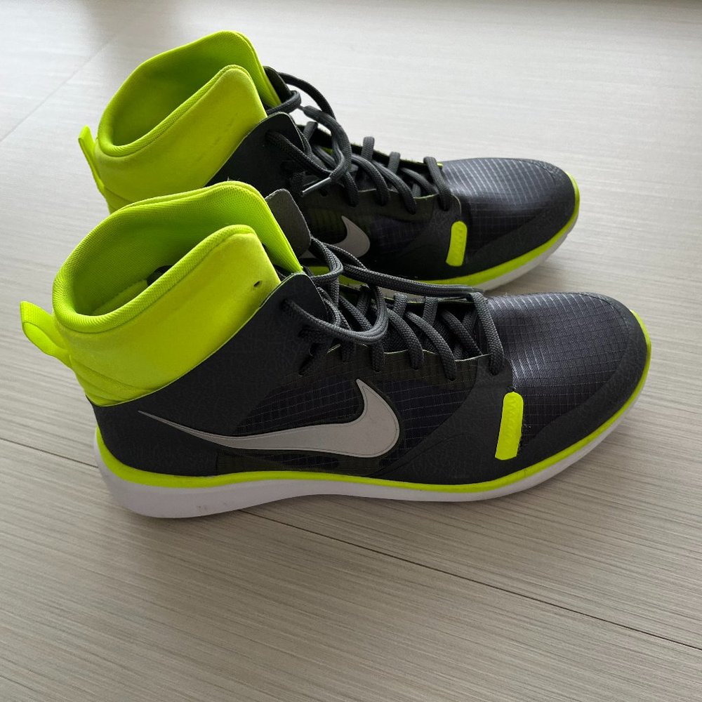 Ultra Modern Dunks